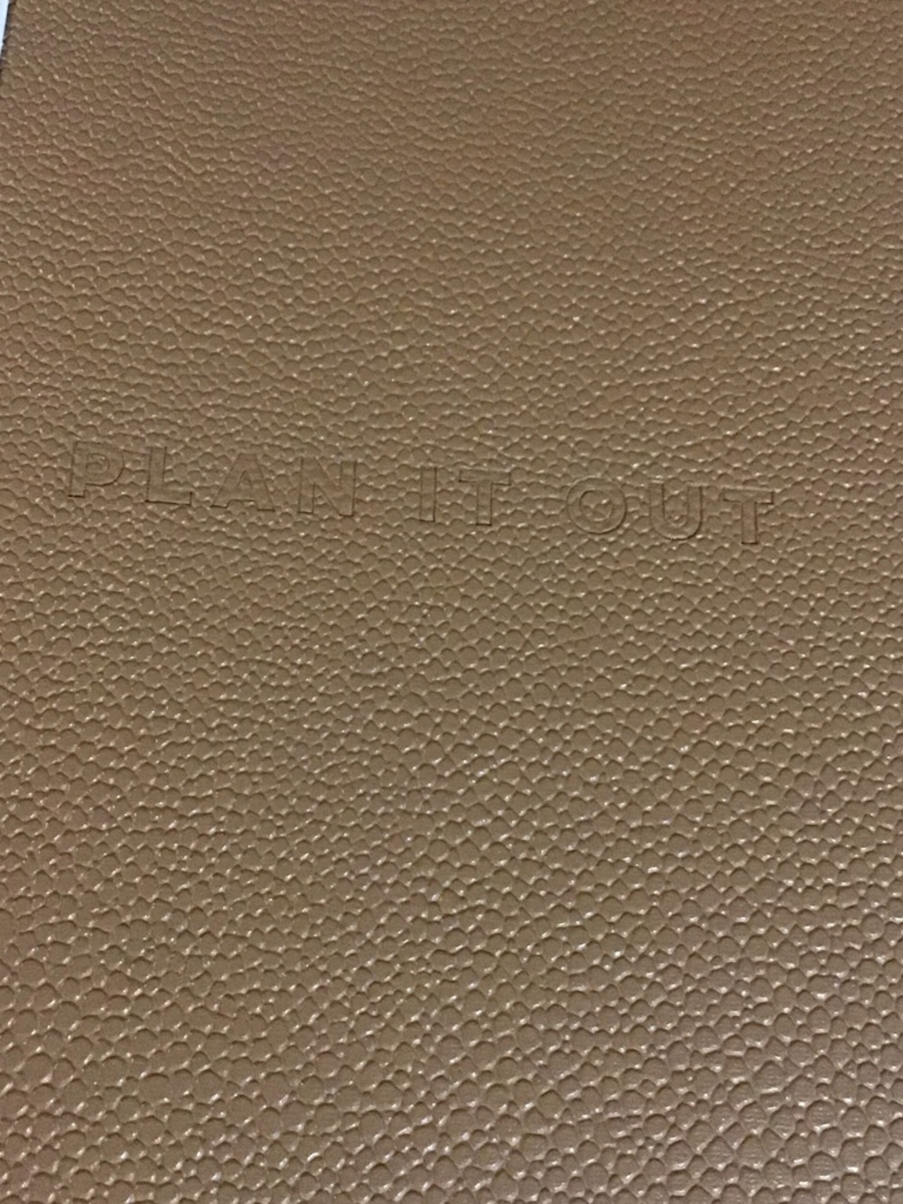 PRICE⬇️Undated Project Planner-Tan Faux Pebbled Leather Hard Cover - Picture 2 of 4